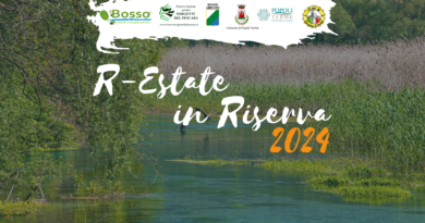 R-Estate in Riserva 2024